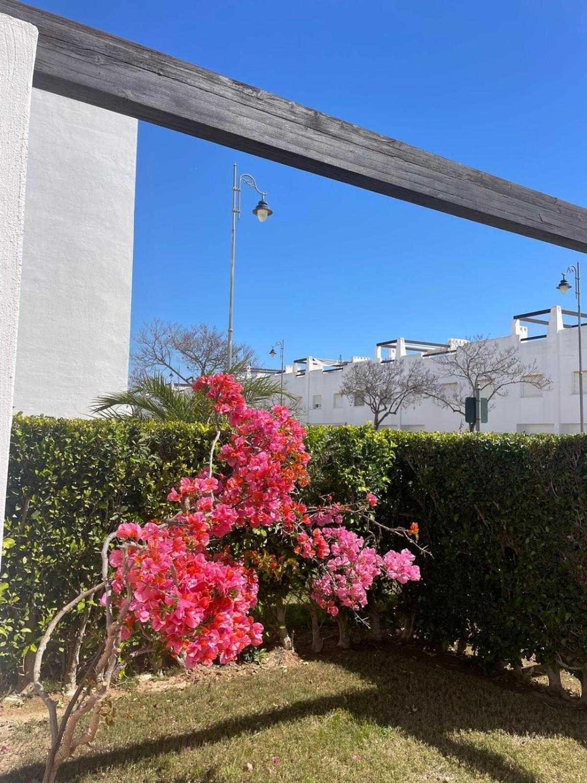 Casa Luisa Jardin 10 Condado De Alhama Apartment Alhama de Murcia Exterior photo